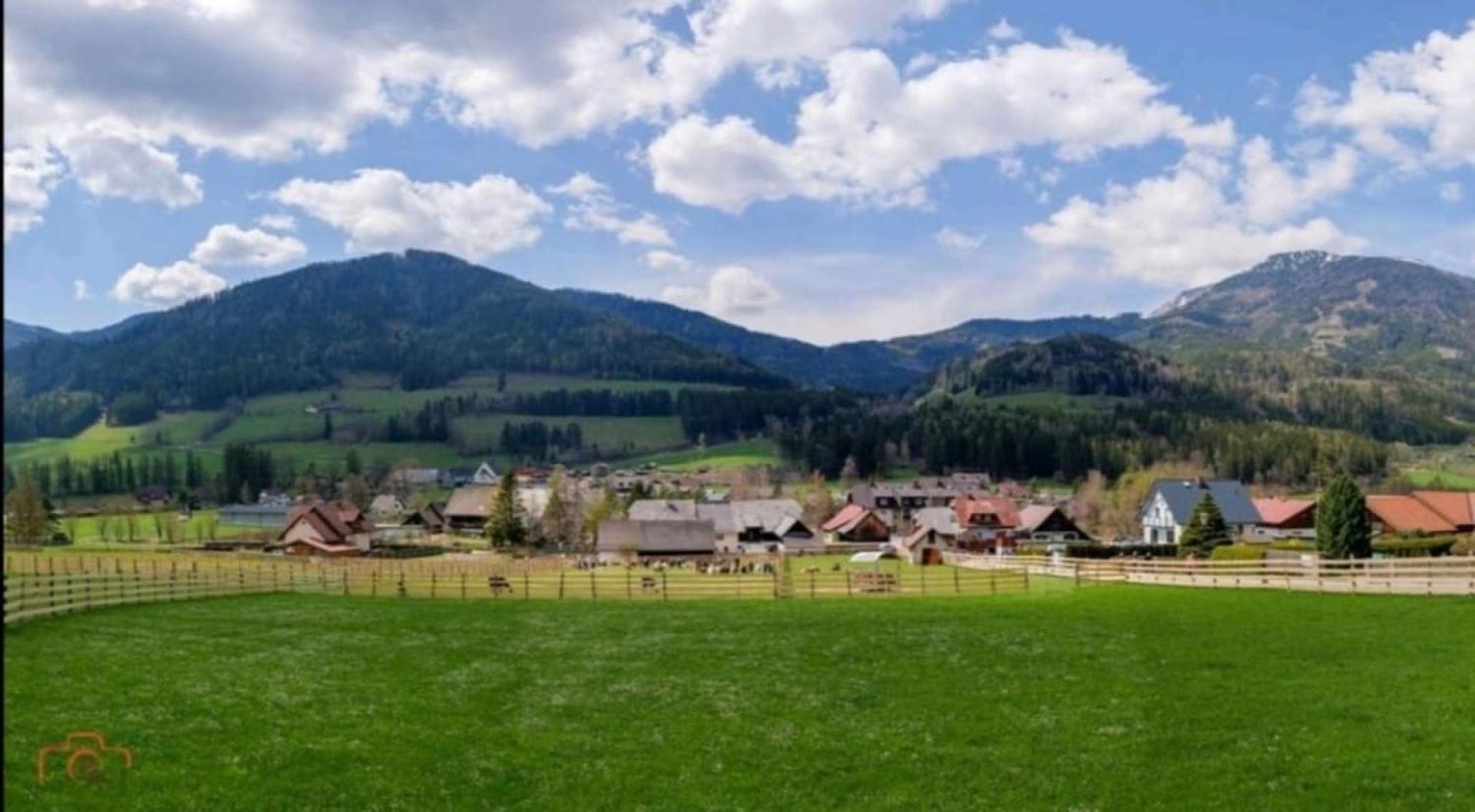 Alpakas, Lamas Und Rentiere Zum Gruenen See Grossdorf  Buitenkant foto