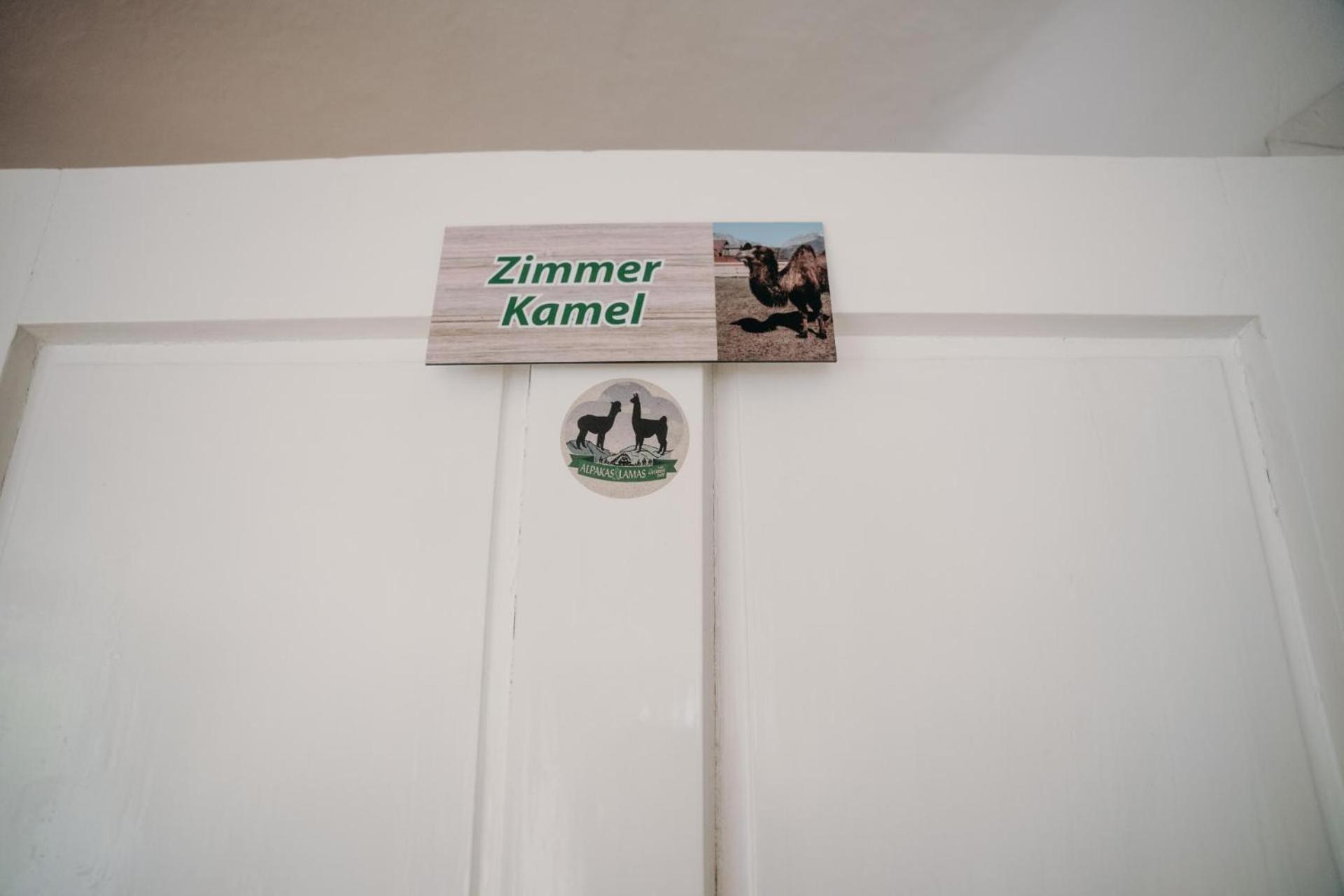 Alpakas, Lamas Und Rentiere Zum Gruenen See Grossdorf  Buitenkant foto