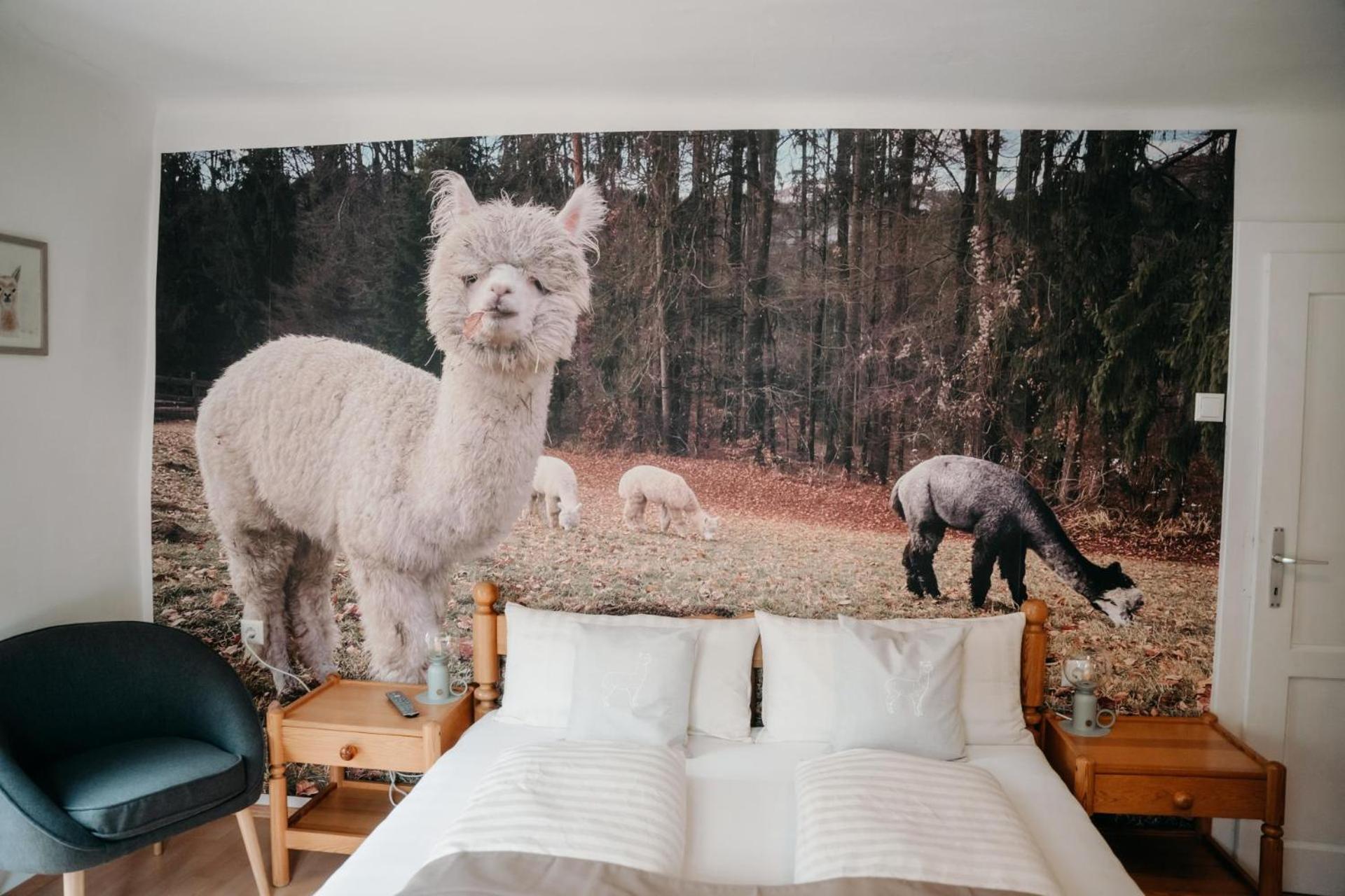 Alpakas, Lamas Und Rentiere Zum Gruenen See Grossdorf  Buitenkant foto