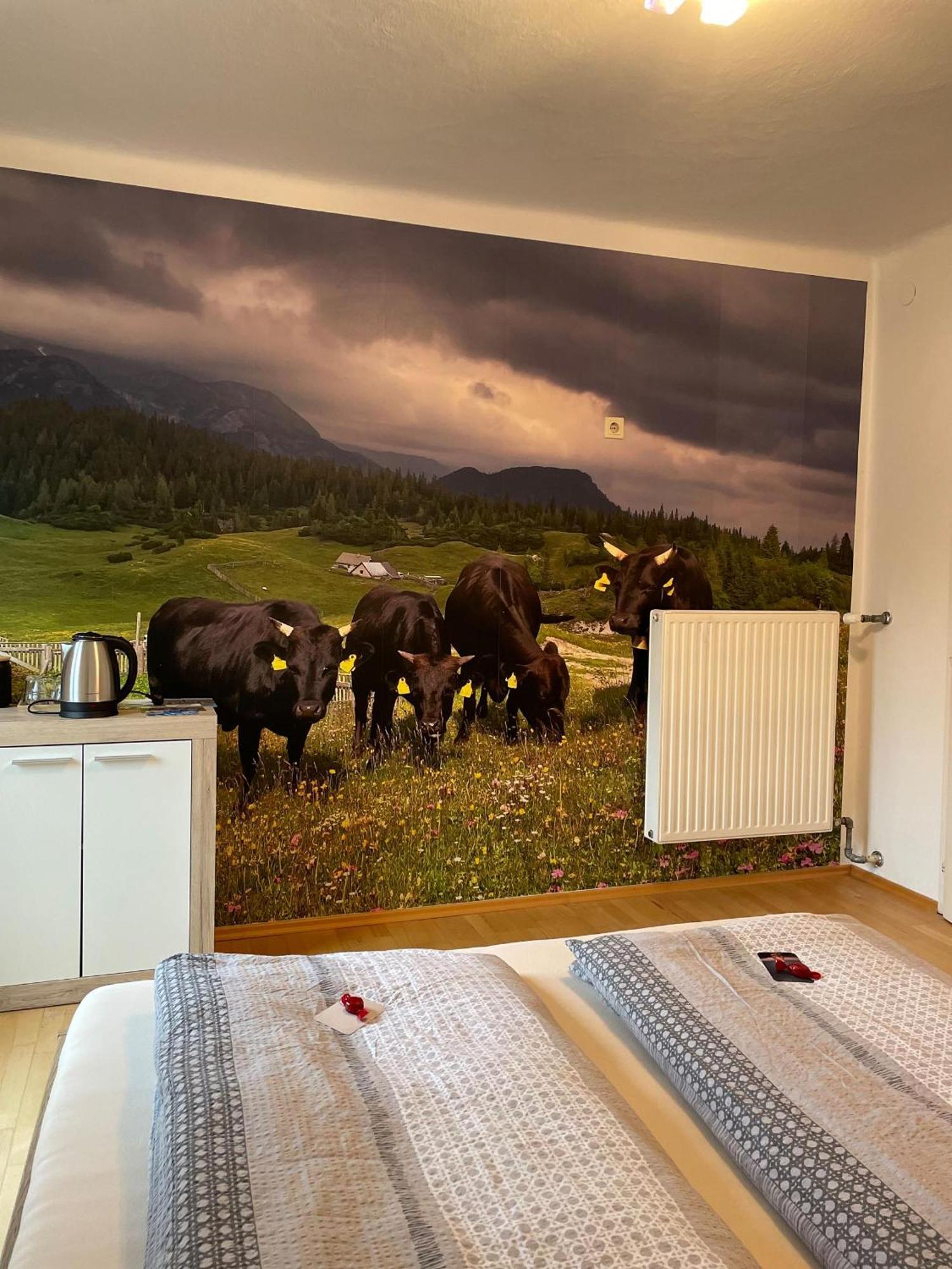 Alpakas, Lamas Und Rentiere Zum Gruenen See Grossdorf  Buitenkant foto